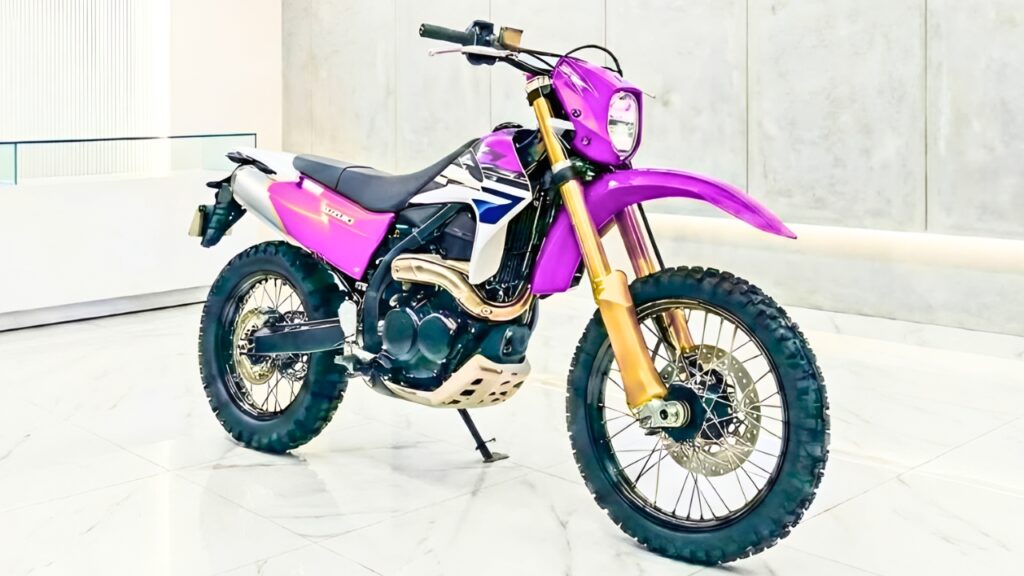 Honda CRF300L Personalizada: Moto Dual-Sport Modificada con Estilo Único y Rendimiento Mejorado para Off-Road